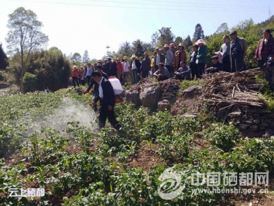 沙地扶贫政策暖人心 技能培训助脱贫
