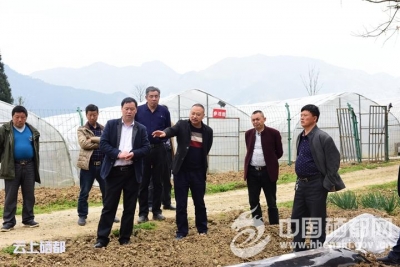 大峡谷：烟叶“三先”培训到田间