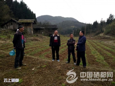 （走进茅湖淌）尖刀中的尖刀