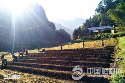 太阳河破解发展瓶颈 推进区域产业发展