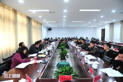 苏勇主持召开政府党组（扩大）会议及常务会议