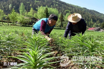 易美戬：脱贫攻坚 党员干部要亮明三个身份 