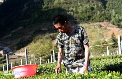 （脱贫先锋）郭振祥：脱贫要自己争口气