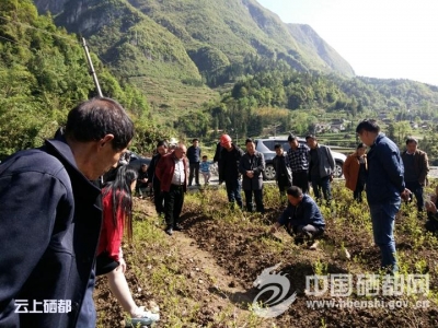 屯堡乡带村民考察 推进产业发展