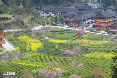 （摄影专题）盛家花开惹人爱