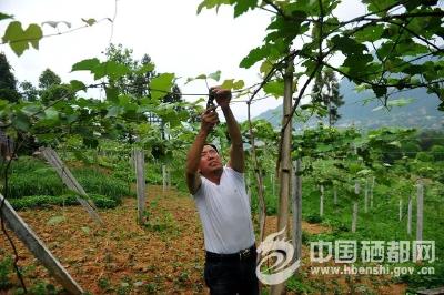 罗　轶：“精”字当头干扶贫 
