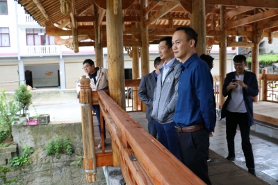 市财政局负责人前往板桥调研美丽乡村建设