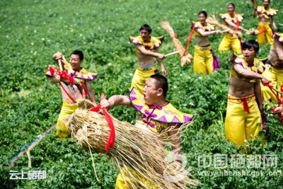 相约三岔2018“土豆花儿开”文化旅游节来袭