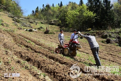（精准扶贫）脱贫路上的“头羊”力量