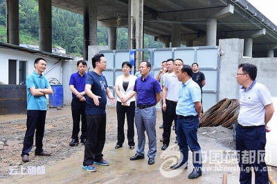 苏勇：紧抓机遇 埋头苦干 加速推进集镇建设