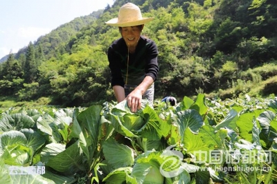 市领导到红土乡调研精准扶贫工作 