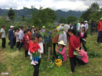 市林业局：扶贫精准出实招 产业托起富民路