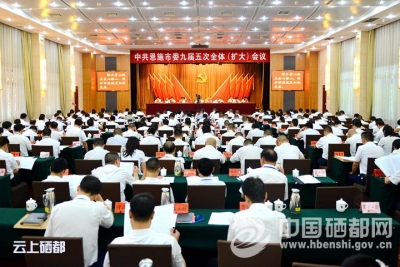 恩施市召开市委九届五次全体（扩大）会议