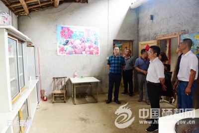 白杨坪镇“倒排法”突出靶向治疗啃硬骨头