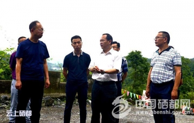 苏勇到白杨坪检查指导山体滑坡排险治理等工作
