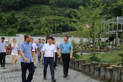 杭州江干区到恩施市考察对接农业产业项目