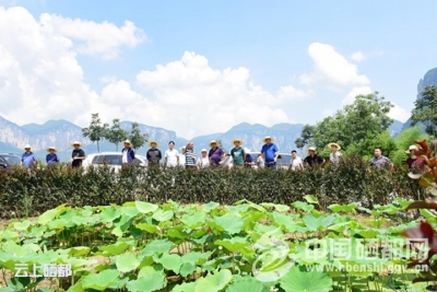 大峡谷：现场督办确保扶贫项目精准落实