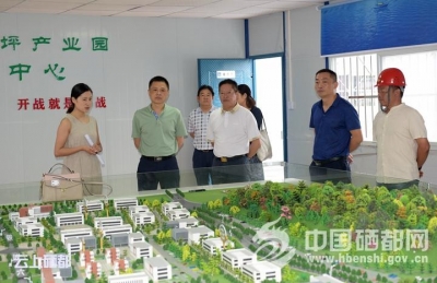 市领导实地调研全市产业园区项目建设情况（图） 