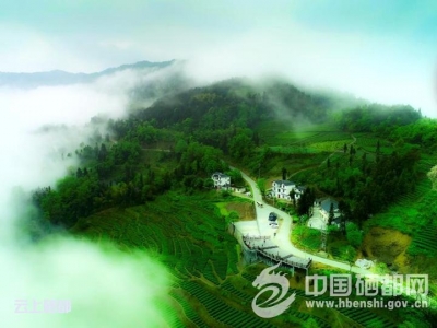 花枝山之变一一乡村振兴的屯堡样本
