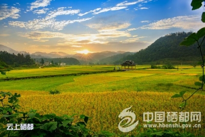有效的攻坚之举——盛家坝乡精准扶贫观察