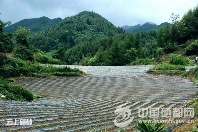 （走进鸭子塘）在希望的田野上