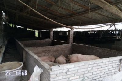 恩施市检察院：检察建议守护水源 全力护航饮水安全