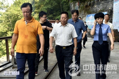 现场“把脉”   协调解决项目存在问题 