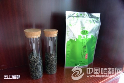 电商中心让“山货”变“网货”