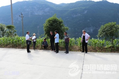 大峡谷：四年辛苦诉讼路 一朝化解泯恩仇