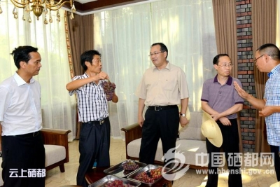 省政协副主席马旭明到恩施调研