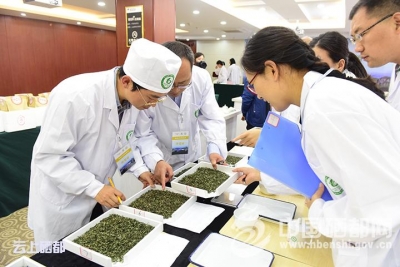 斗智斗勇为茶狂
