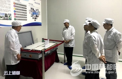 恩施市招商考察团赴重庆贵州考察工业园区建设