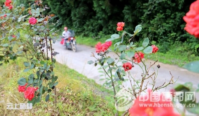 打造便民安全路（图）  