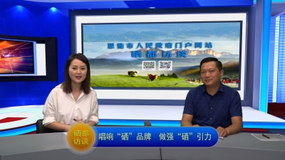 【硒都访谈】唱响“硒”品牌 做强“硒”引力