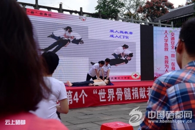 恩施市开展纪念第19个“世界急救日”主题活动