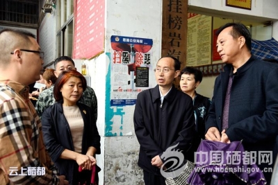 州领导调研州城重点工程建设情况