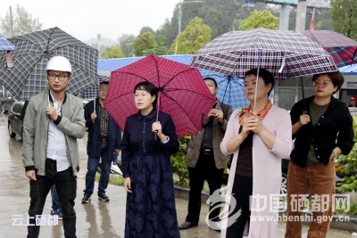 州督导组到恩施市督导检查“三绿”工作