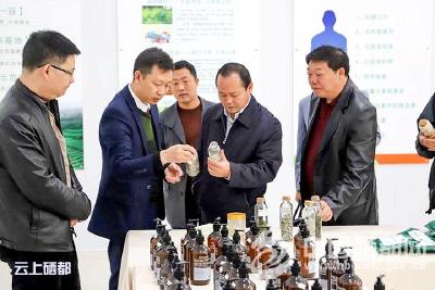 市长苏勇到屯堡乡调研精准扶贫工作
