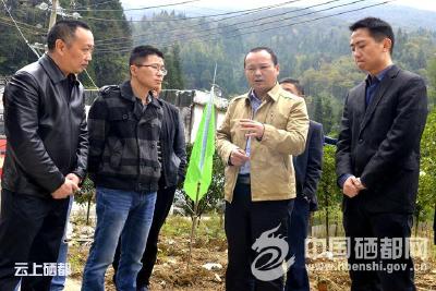 苏勇：聚焦目标 下足功夫 打造高质量扶贫工程