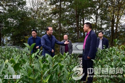 苏勇到盛家坝乡等地调研督办精准扶贫工作