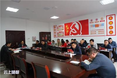 市教育局：开展第“十期”支部主题党日活动