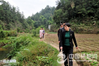 市领导巡河巴公溪