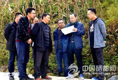 苏勇到崔家坝镇调研督办精准扶贫工作  