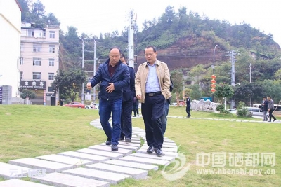 苏勇调研督办城市管理工作