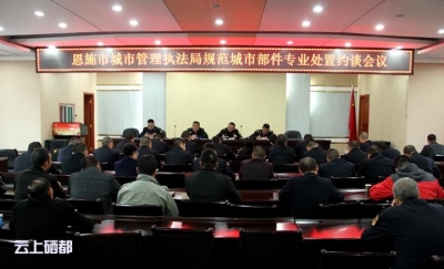 恩施市城管执法局全面规范城市部件专业处置工作 