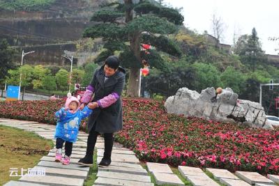 【创森在行动】“见缝插绿”提“颜值”