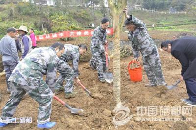 【创森在行动】屯堡掀起共建美好家园小高潮