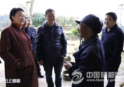 市领导到太阳河乡调研产业发展情况