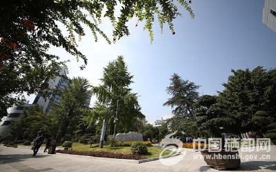 恩施州39个单位拆墙透绿