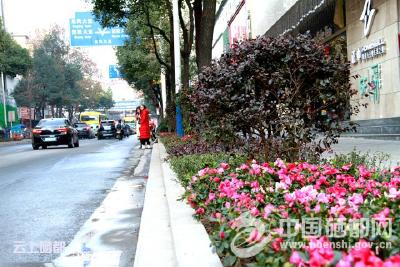 恩施市绿化美化环境　构筑城市生态“屏障”